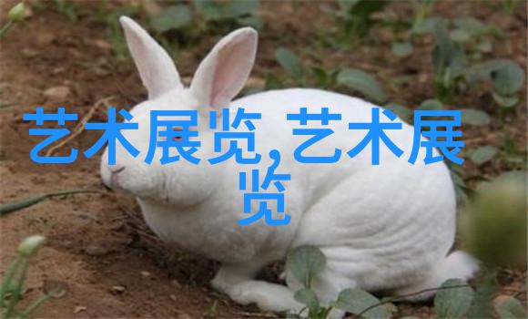 重庆艺术品拍卖去年成交15亿元 今年首拍卖200万元